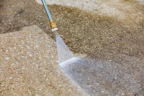 Best Pool Deck Cleaning  in Royal Palm Beach, FL